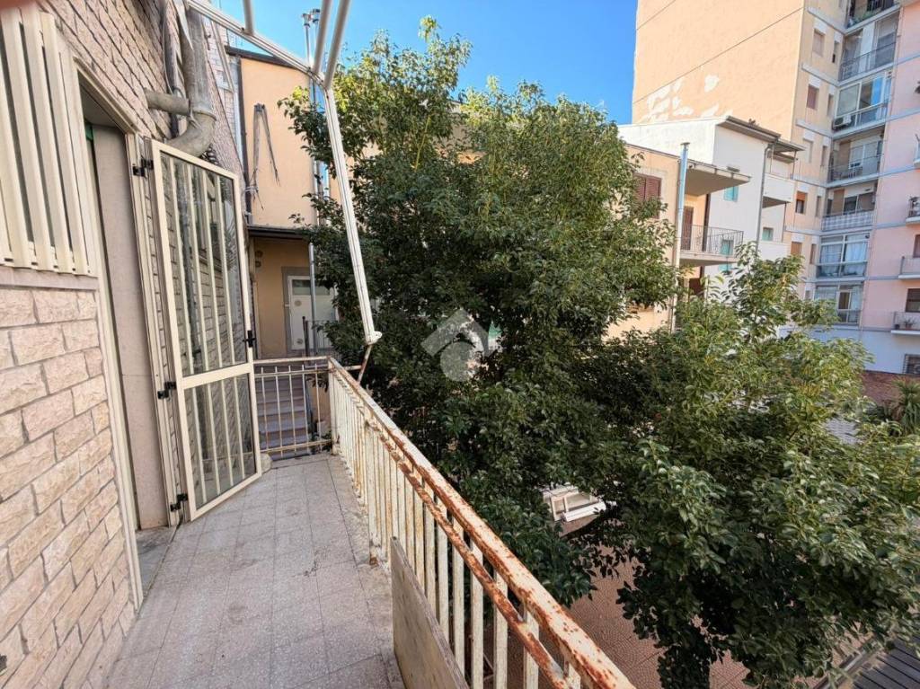 immagine annuncio 6 di 12