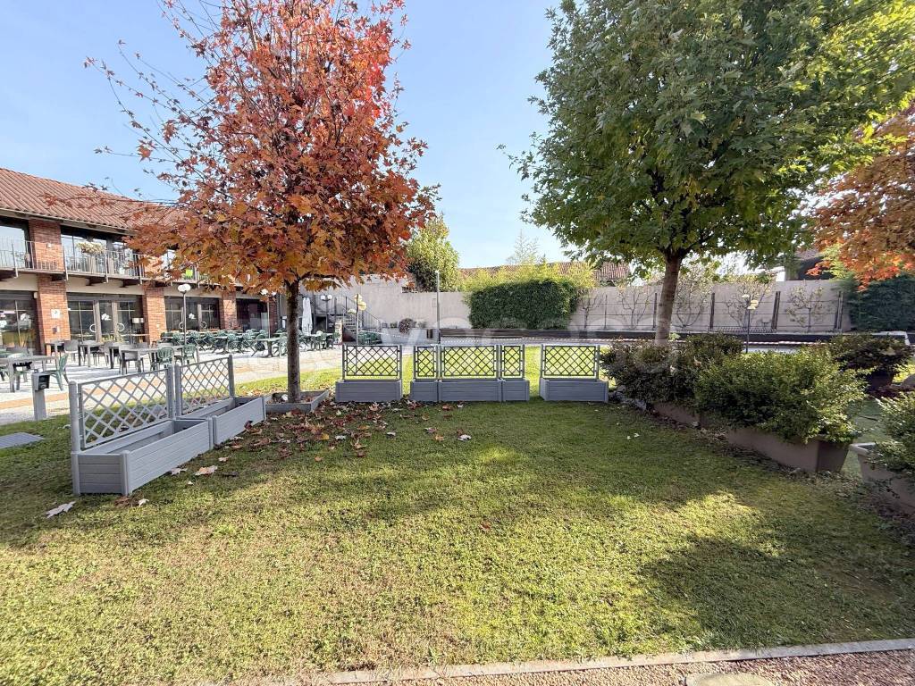 immagine annuncio 8 di 15