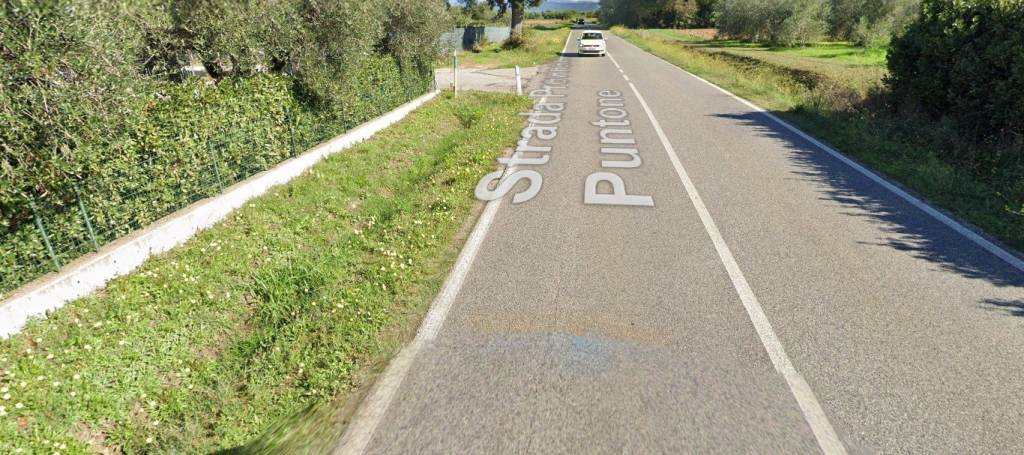 immagine annuncio 2 di 11