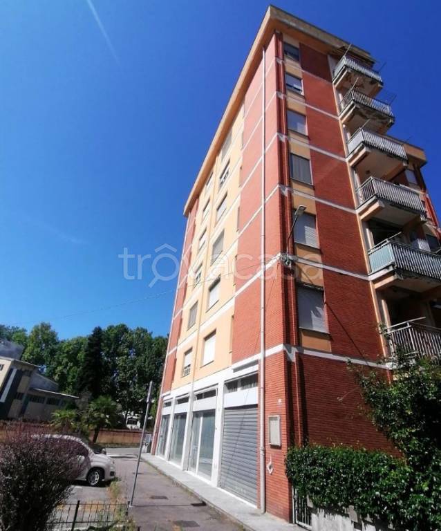 immagine annuncio 1 di 14