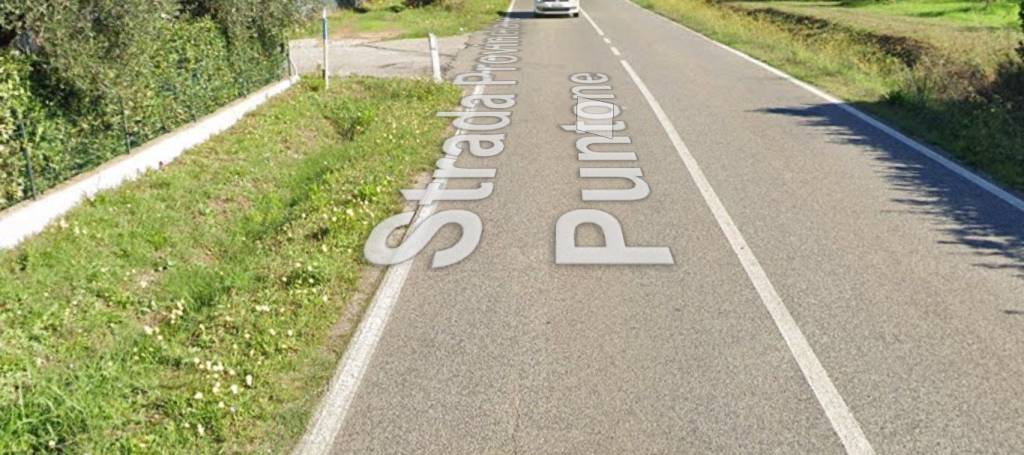 immagine annuncio 4 di 11