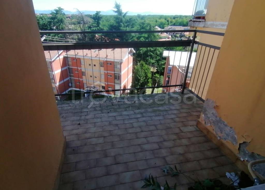 immagine annuncio 9 di 14