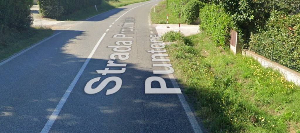 immagine annuncio 8 di 11