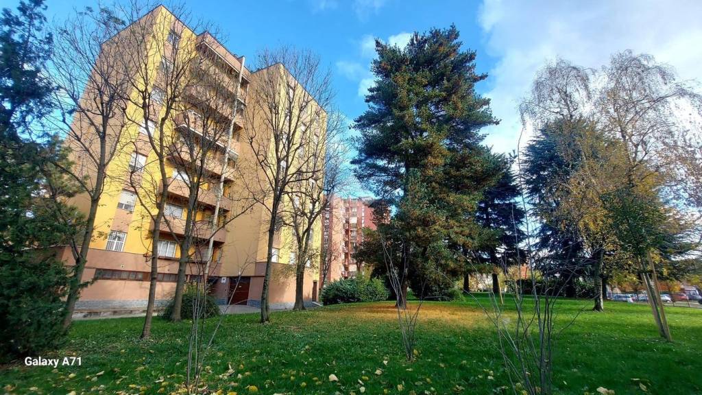 immagine annuncio 1 di 15