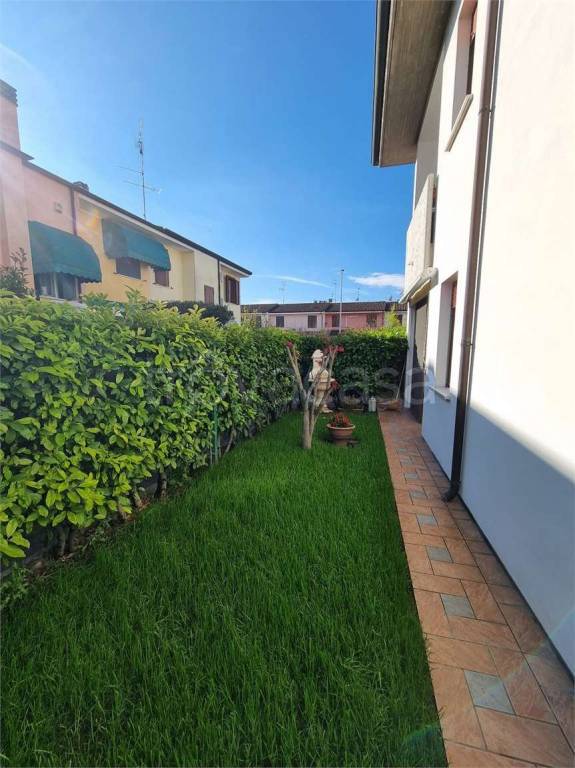 immagine annuncio 5 di 15