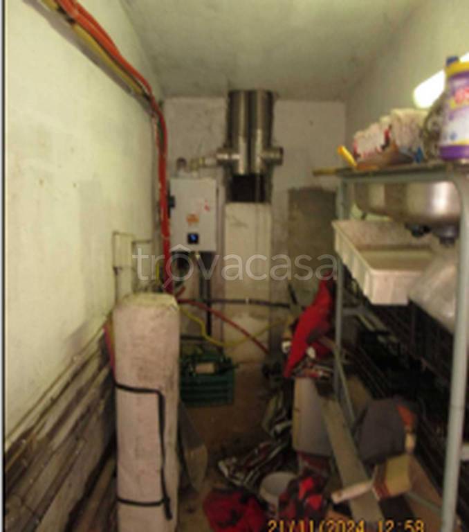 immagine annuncio 6 di 14