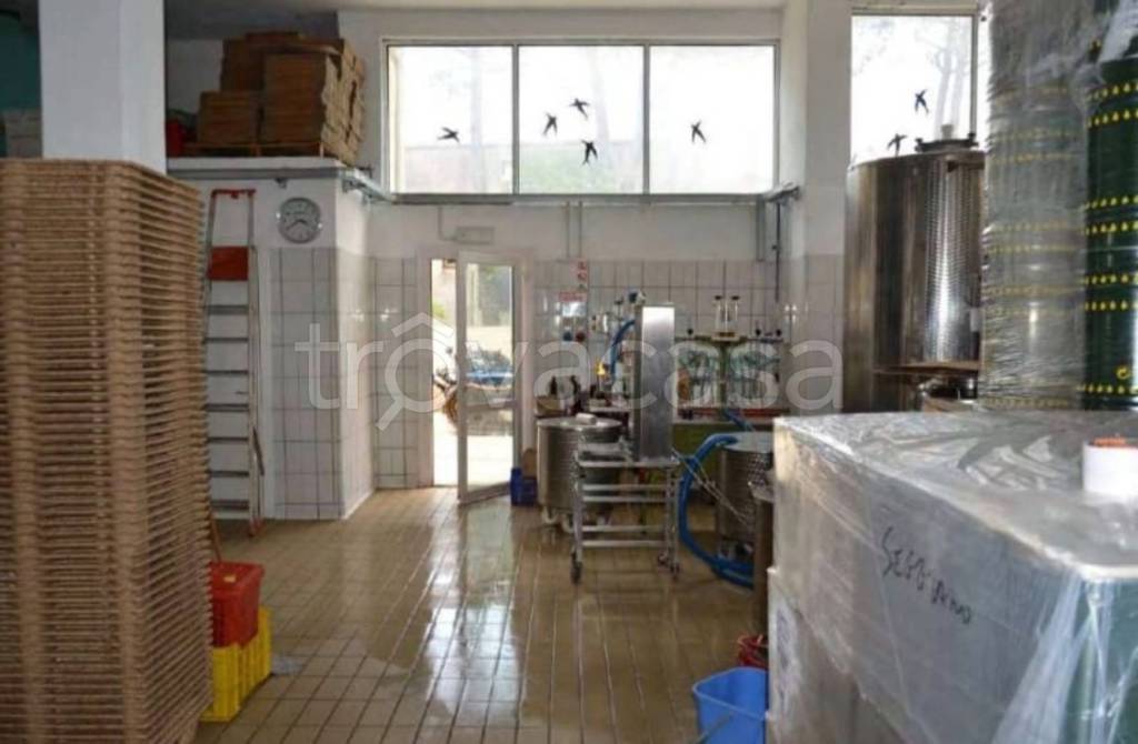 immagine annuncio 10 di 14