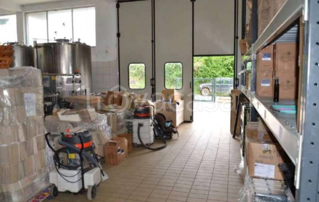 immagine annuncio 11 di 14