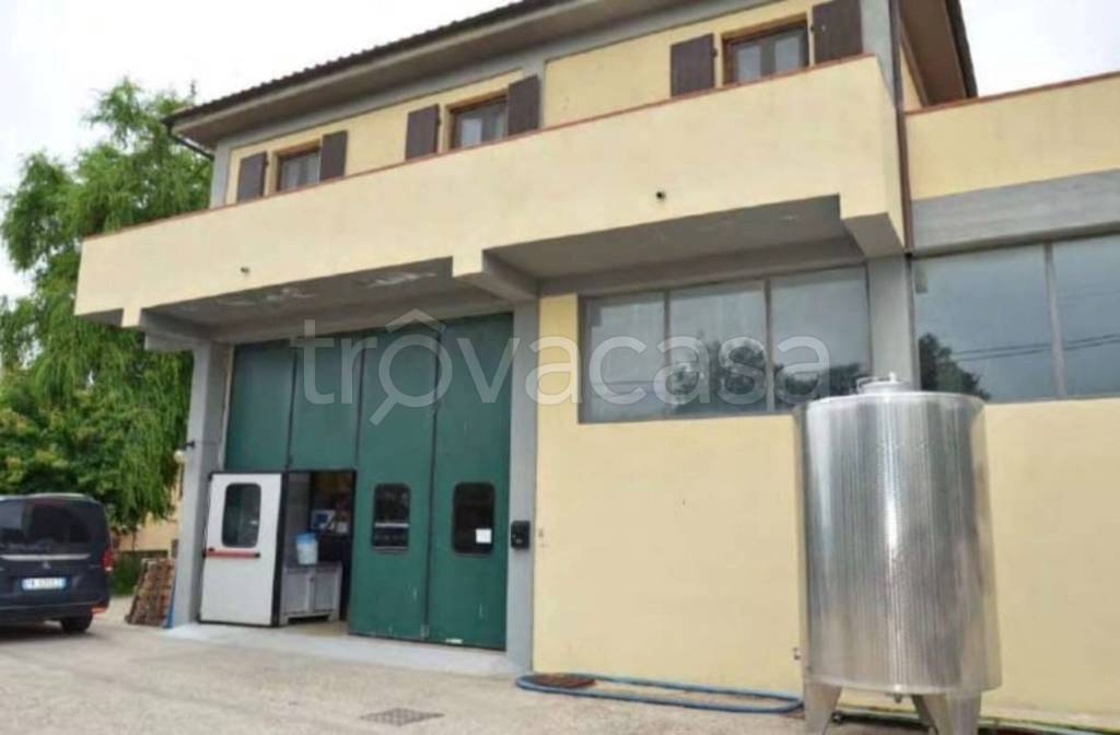 immagine annuncio 12 di 14