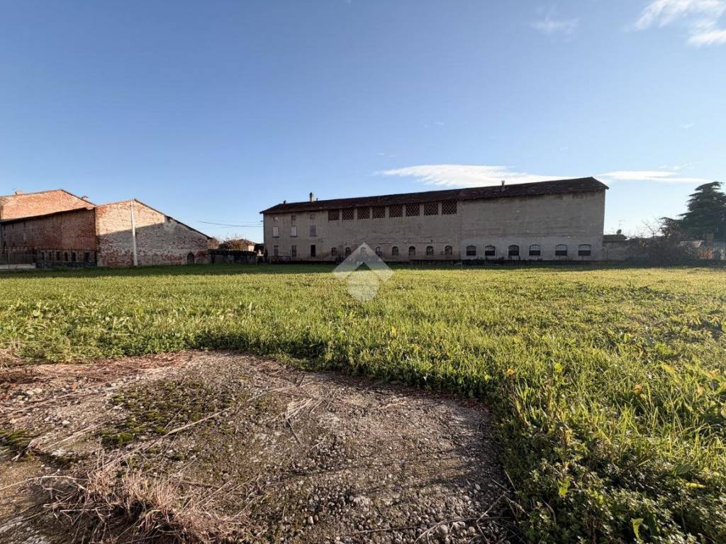 immagine annuncio 1 di 14