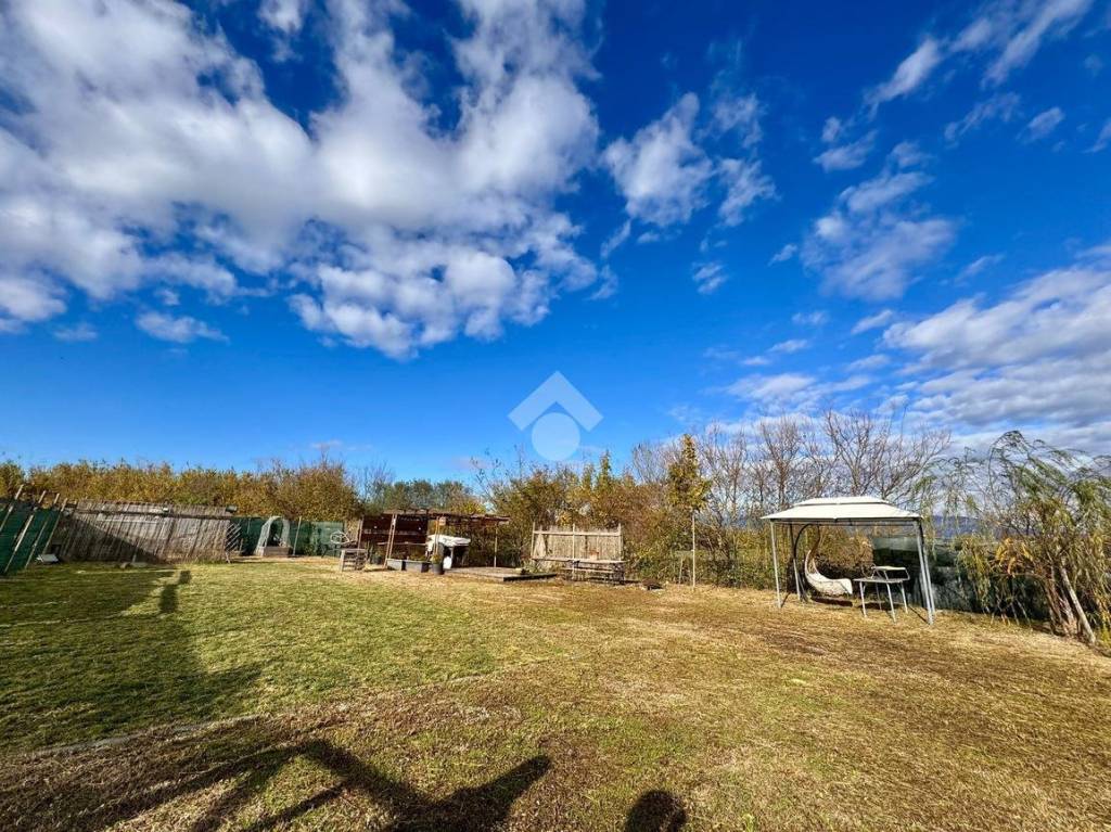 immagine annuncio 5 di 14