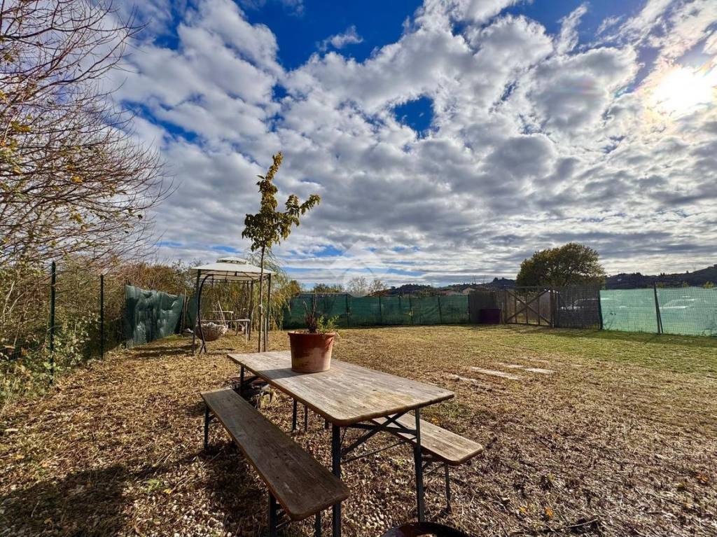 immagine annuncio 9 di 14