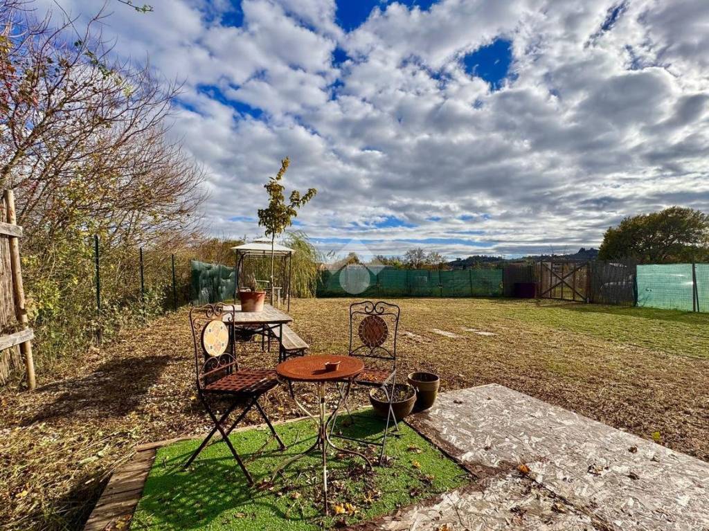 immagine annuncio 12 di 14