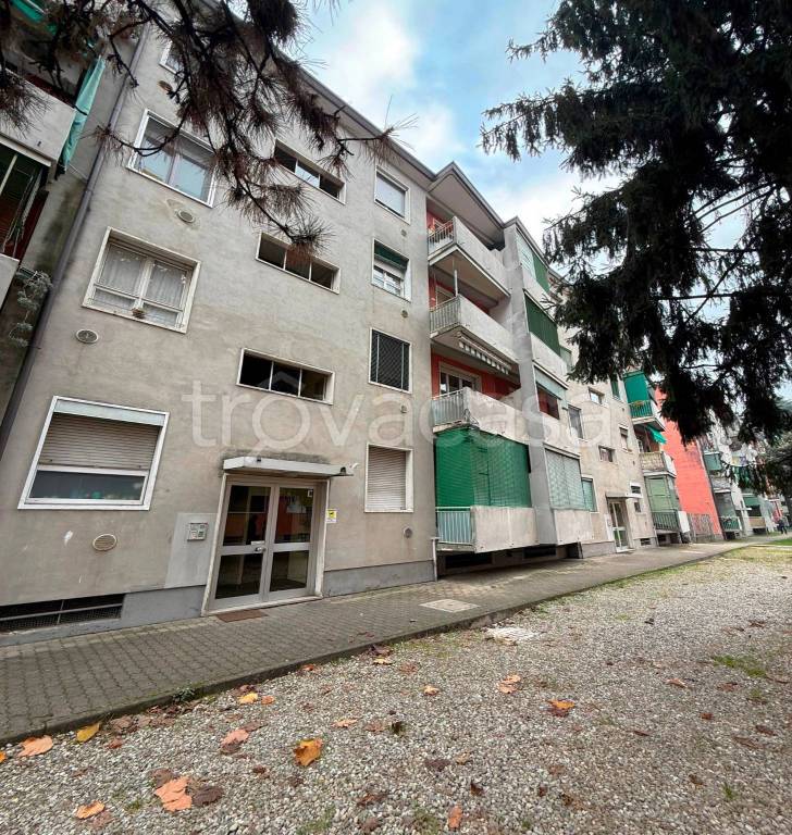 immagine annuncio 11 di 13