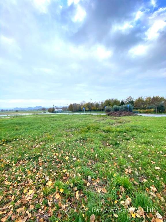 immagine annuncio 7 di 12