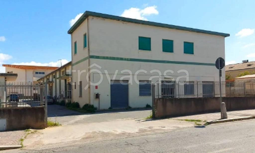 immagine annuncio 1 di 11