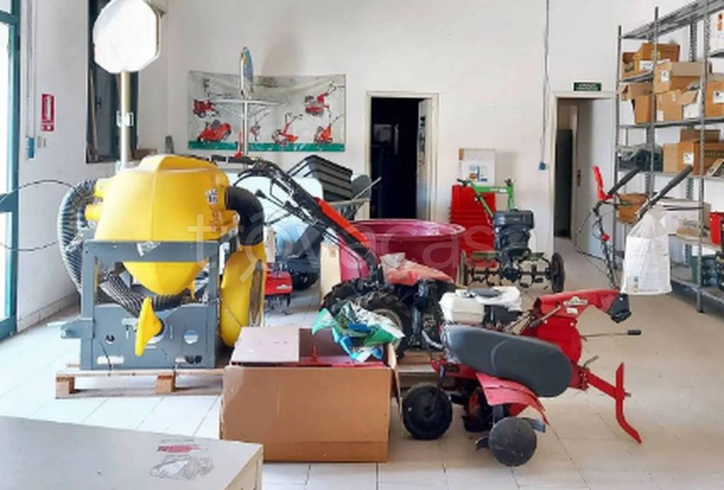 immagine annuncio 3 di 11