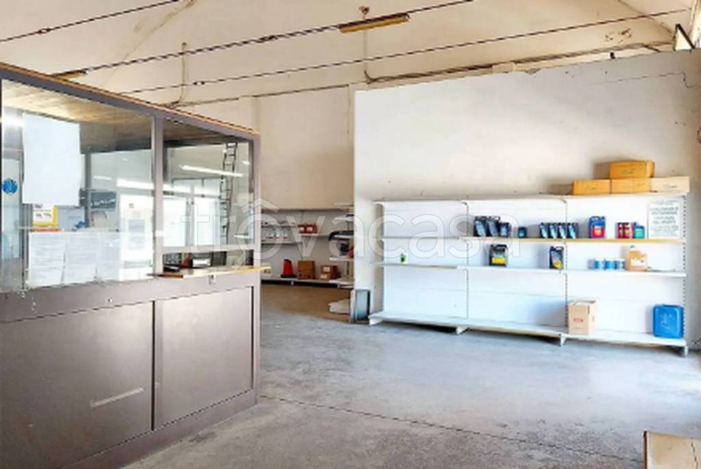 immagine annuncio 5 di 11