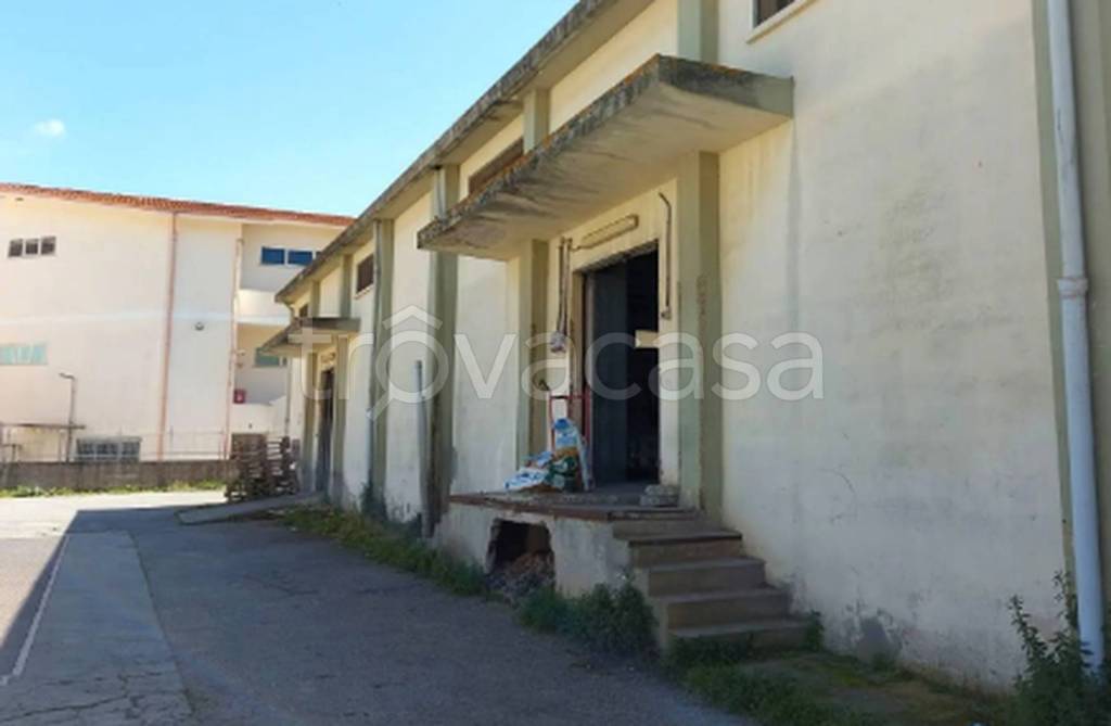 immagine annuncio 8 di 11