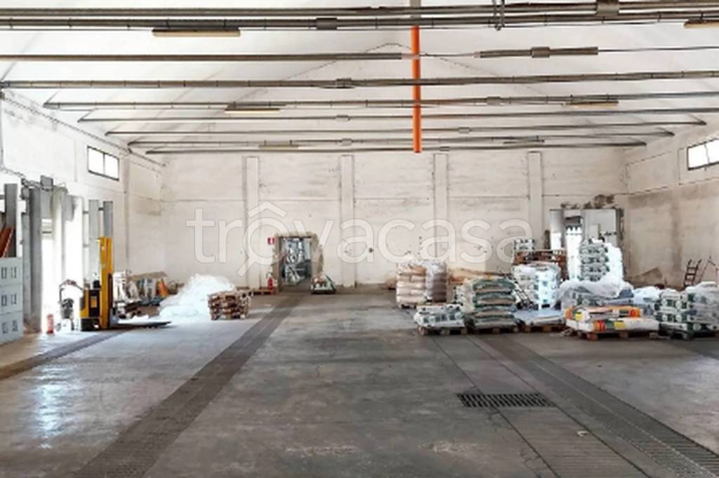 immagine annuncio 9 di 11