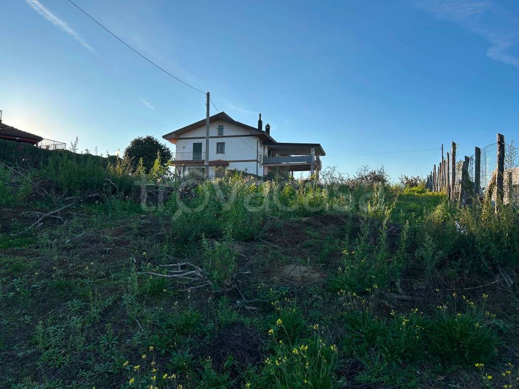 immagine annuncio 1 di 6