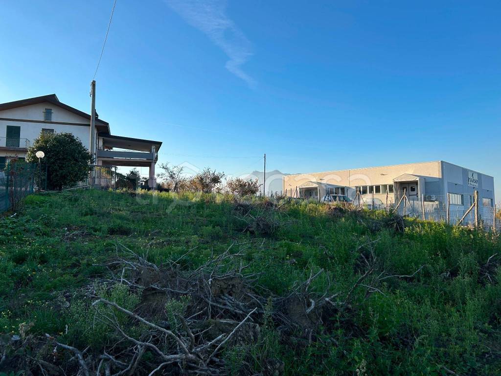 immagine annuncio 2 di 6