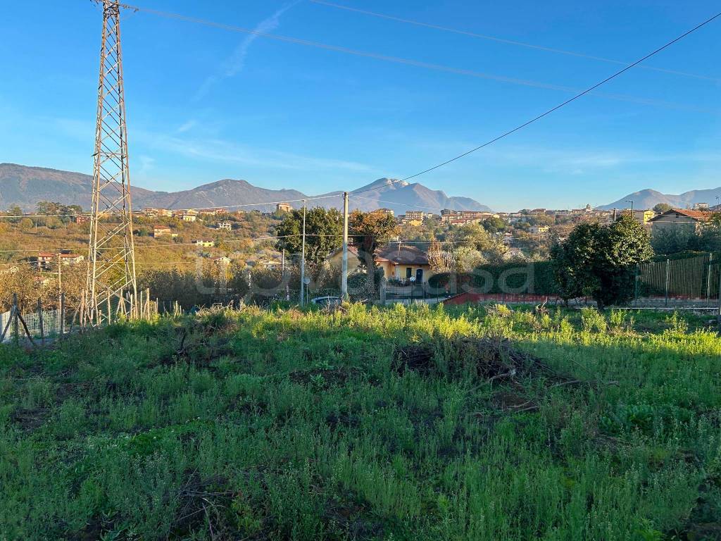 immagine annuncio 3 di 6