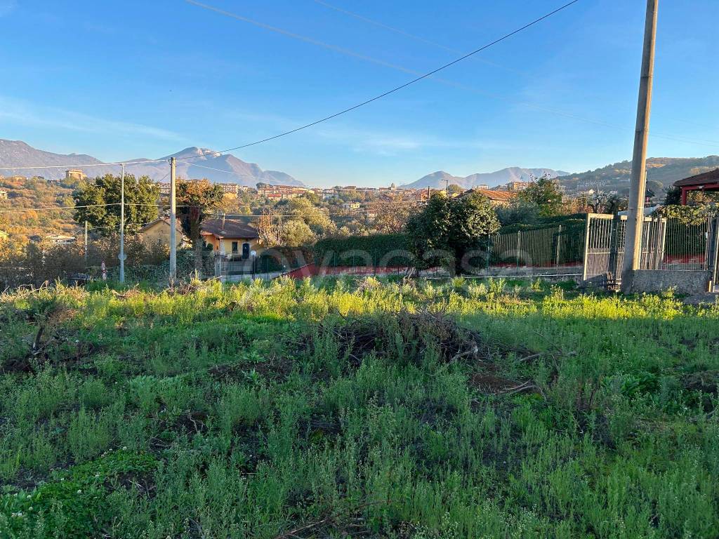 immagine annuncio 4 di 6