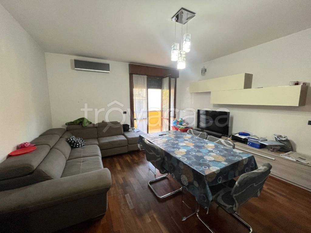 immagine annuncio 3 di 14