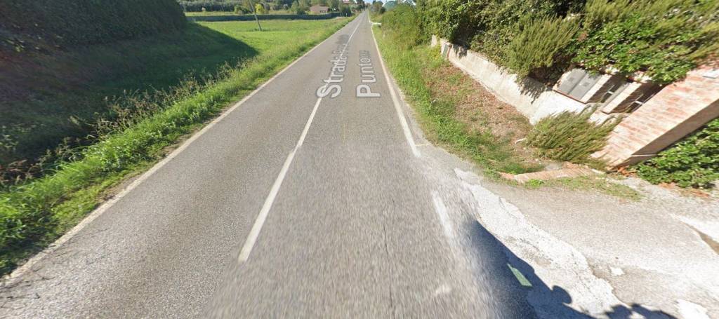 immagine annuncio 4 di 9