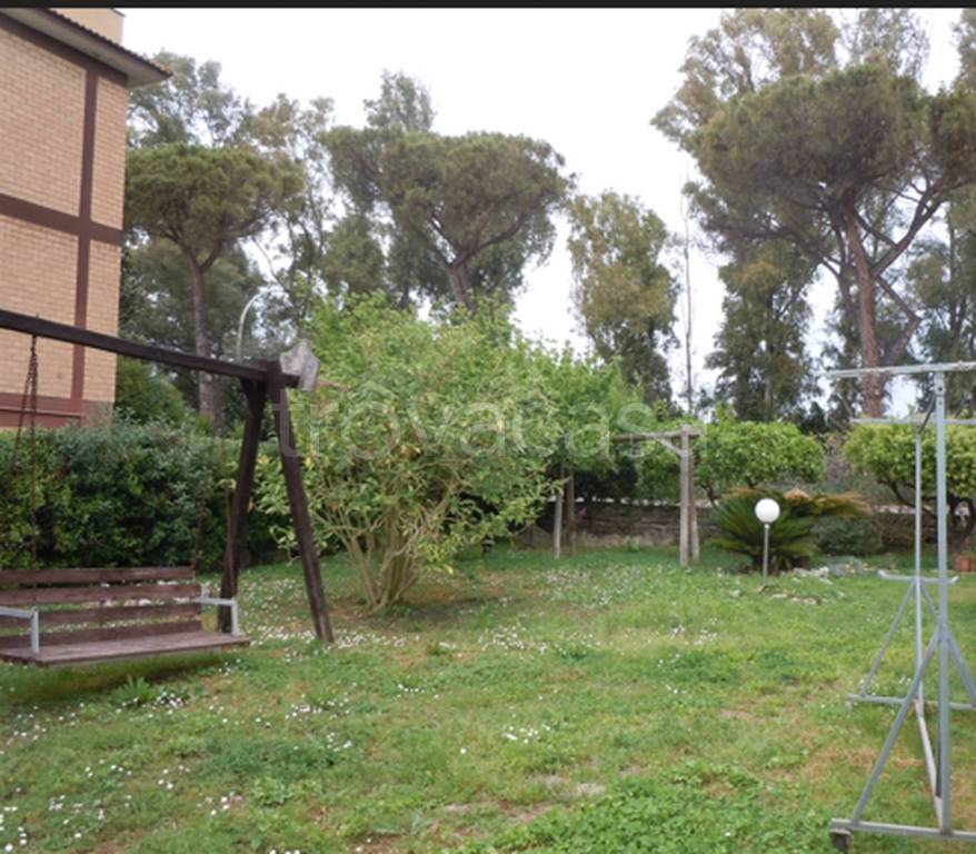 immagine annuncio 5 di 11