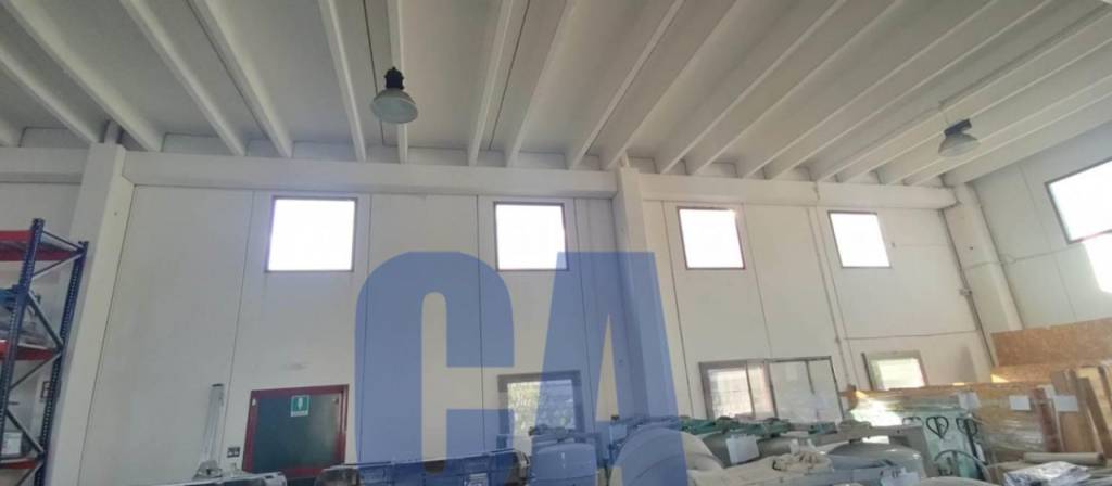 immagine annuncio 5 di 12