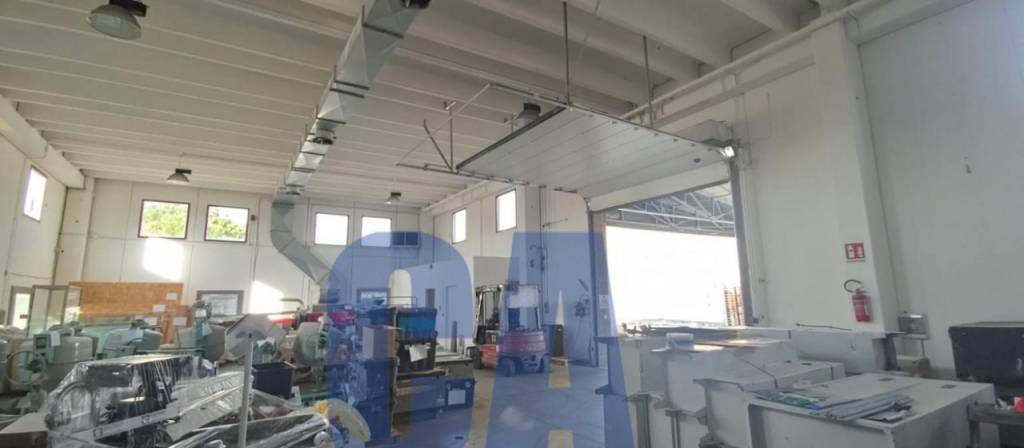 immagine annuncio 7 di 12