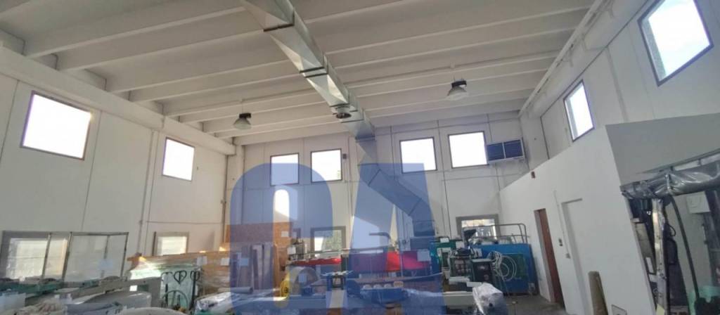 immagine annuncio 8 di 12