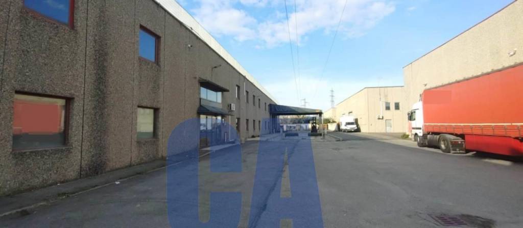 immagine annuncio 11 di 12