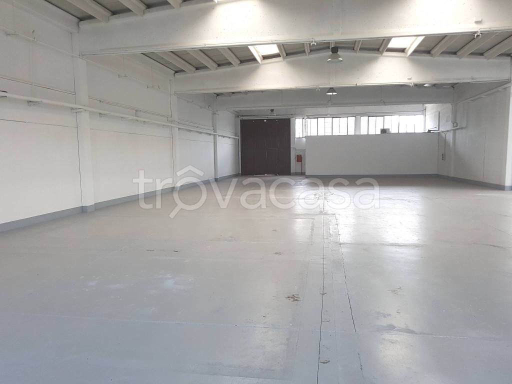 immagine annuncio 5 di 9