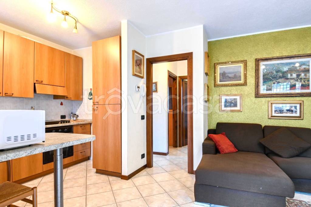 immagine annuncio 3 di 15