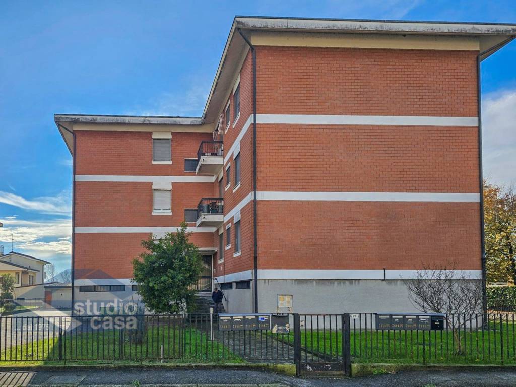 immagine annuncio 1 di 15