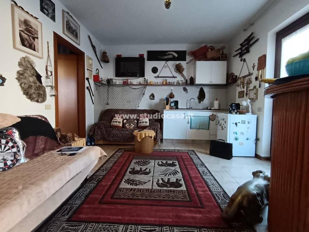 immagine annuncio 1 di 15