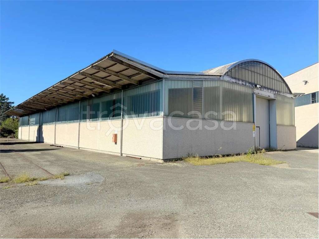 immagine annuncio 7 di 15