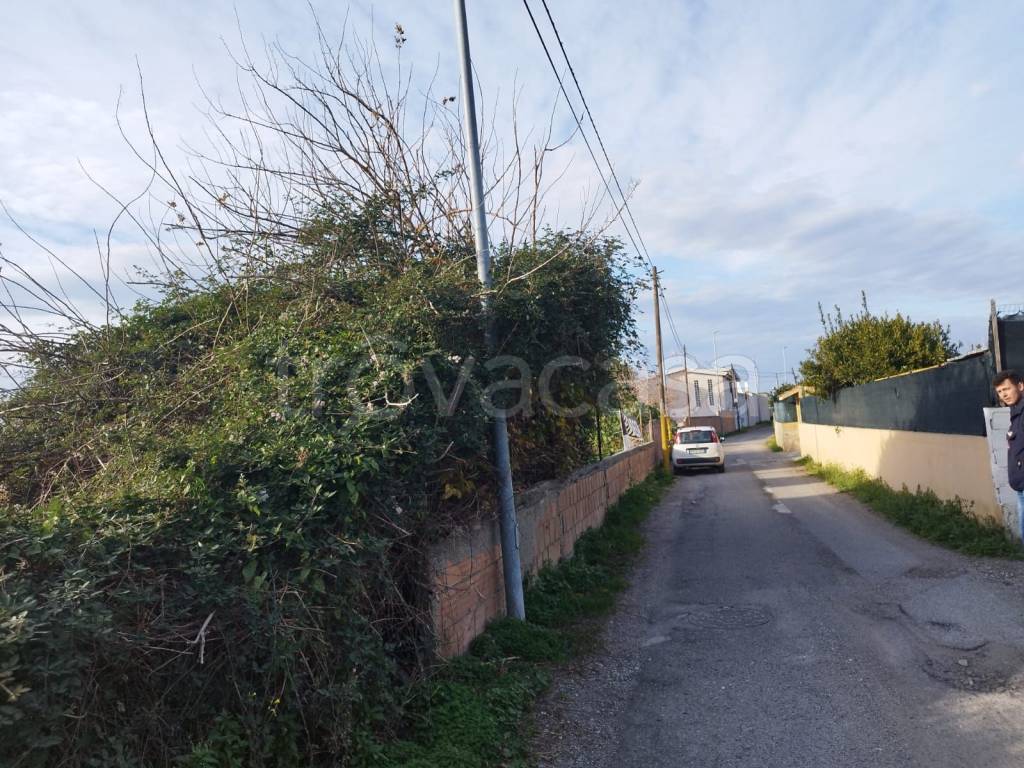 immagine annuncio 3 di 13