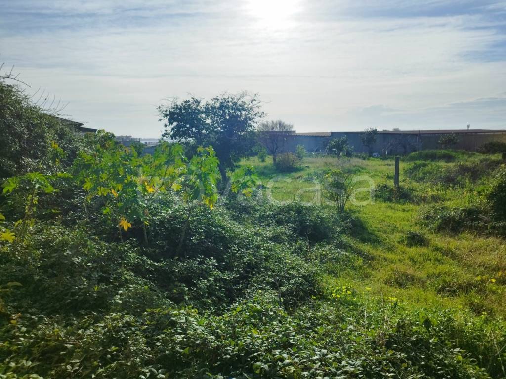 immagine annuncio 10 di 13