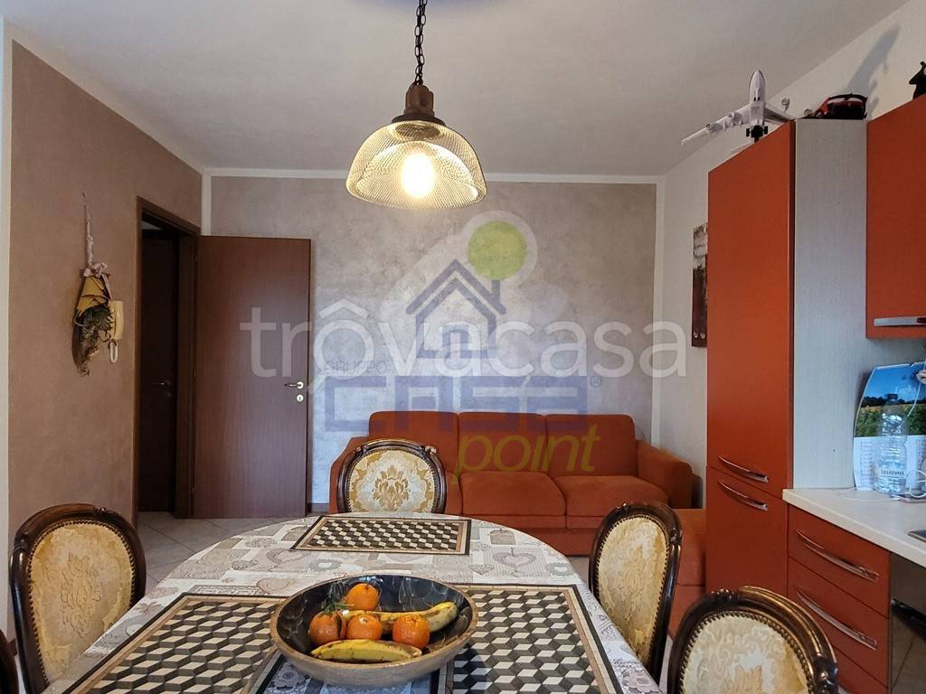 immagine annuncio 3 di 11