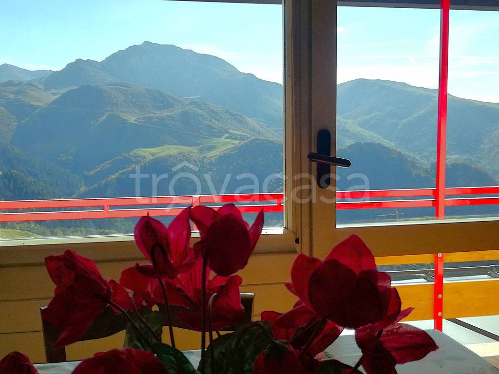 immagine annuncio 7 di 11