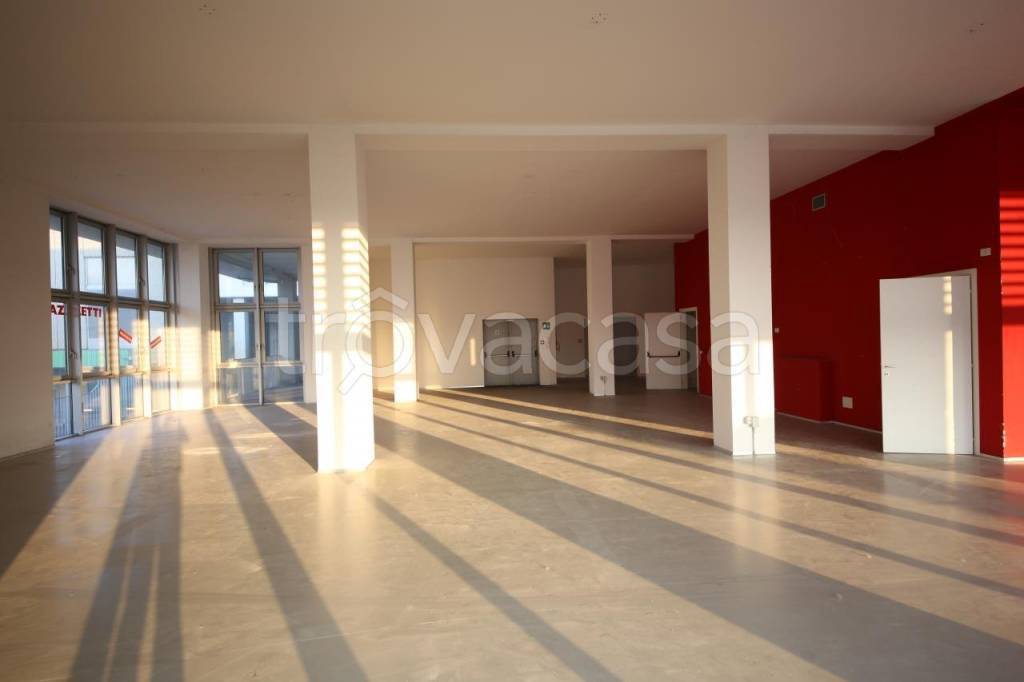 immagine annuncio 4 di 8