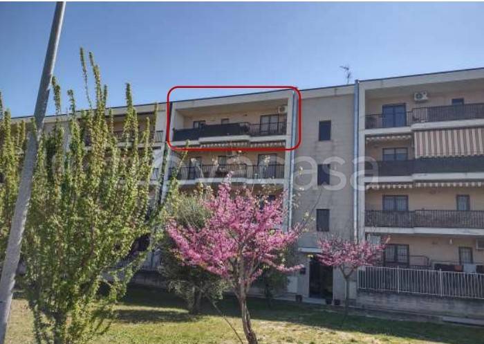 immagine annuncio 5 di 9