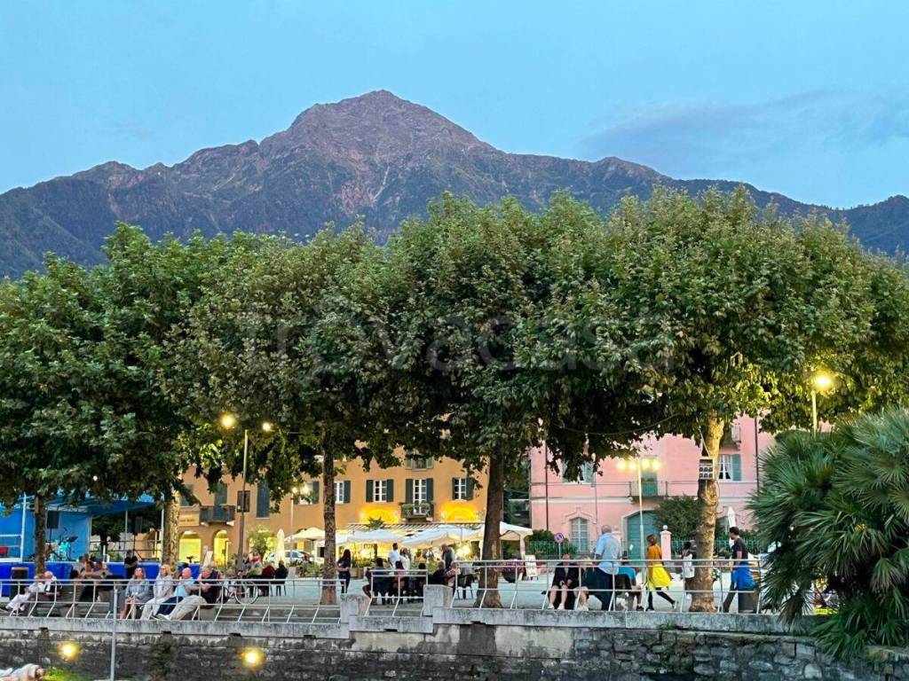 immagine annuncio 7 di 8