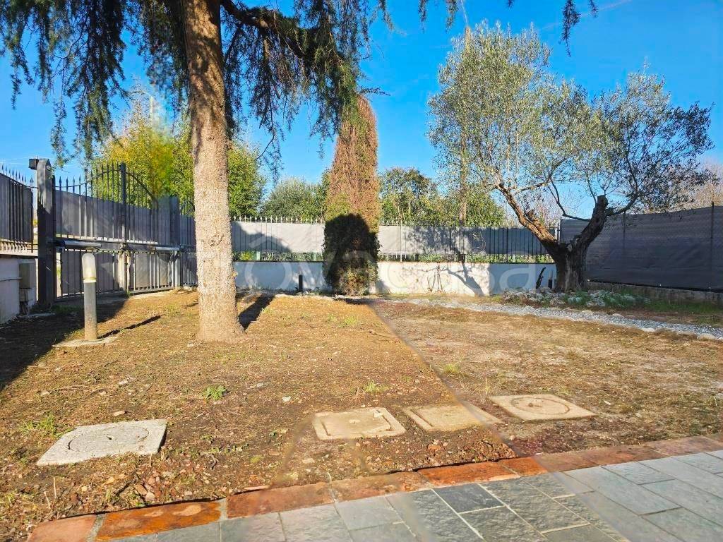 immagine annuncio 8 di 15