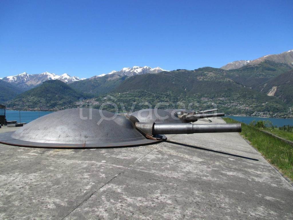 immagine annuncio 5 di 8