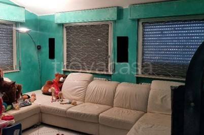 immagine annuncio 3 di 6